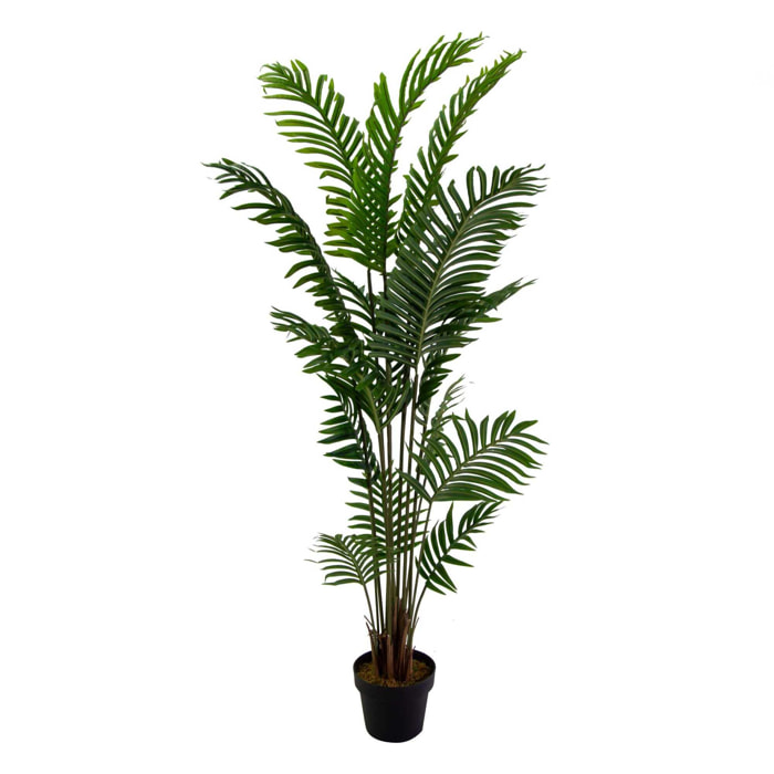 Pianta artificiale Kenzia Vacchetti in plastica cmh165