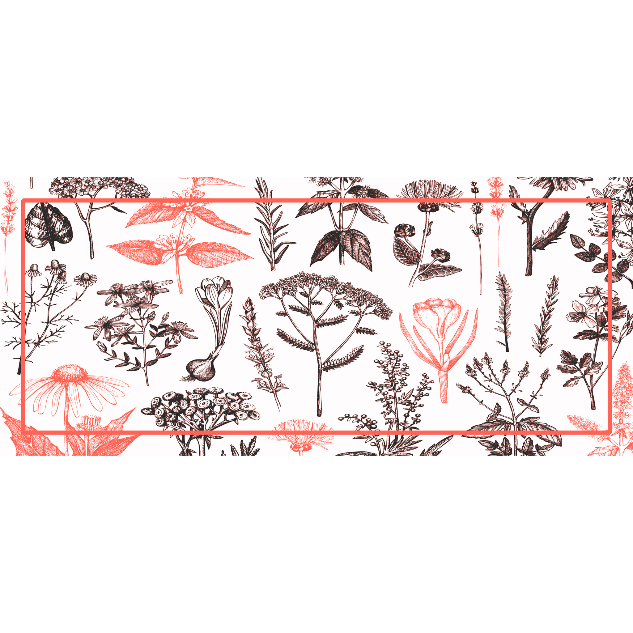 Alfombra de vinilo CERAMIKO, Plantas medicinales rojo 66x150 cm