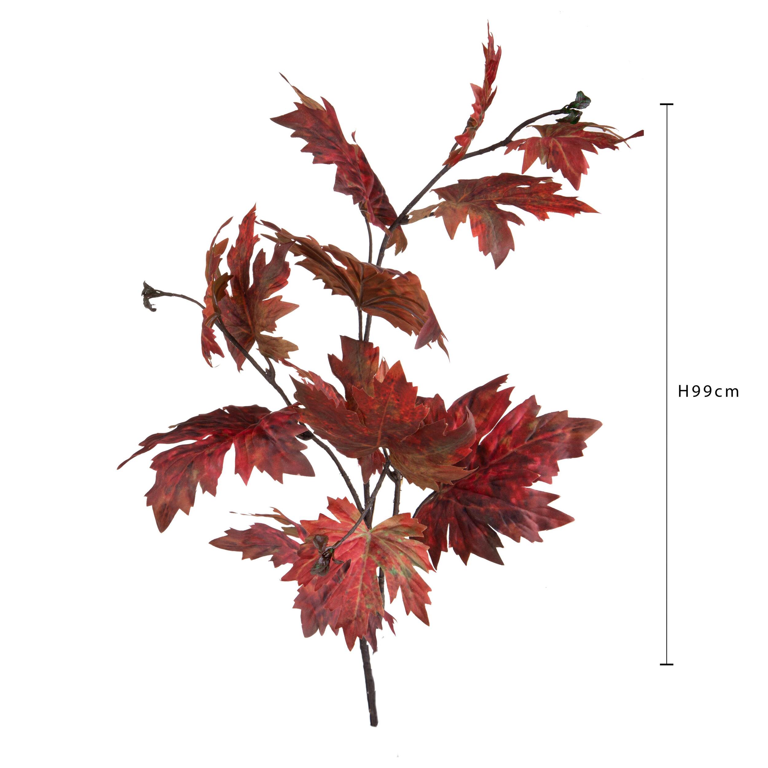 Platano autunnale - Pezzi 12 - ROSSO - Bianchi Dino SpA