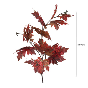 Platano autunnale - Pezzi 12 - ROSSO - Bianchi Dino SpA