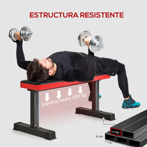 Banco de Pesas Banco de Musculación Carga 300 kg Banco de Abdominales para Entrenamiento de Cuerpo Completo en Casa Gimnasio Negro