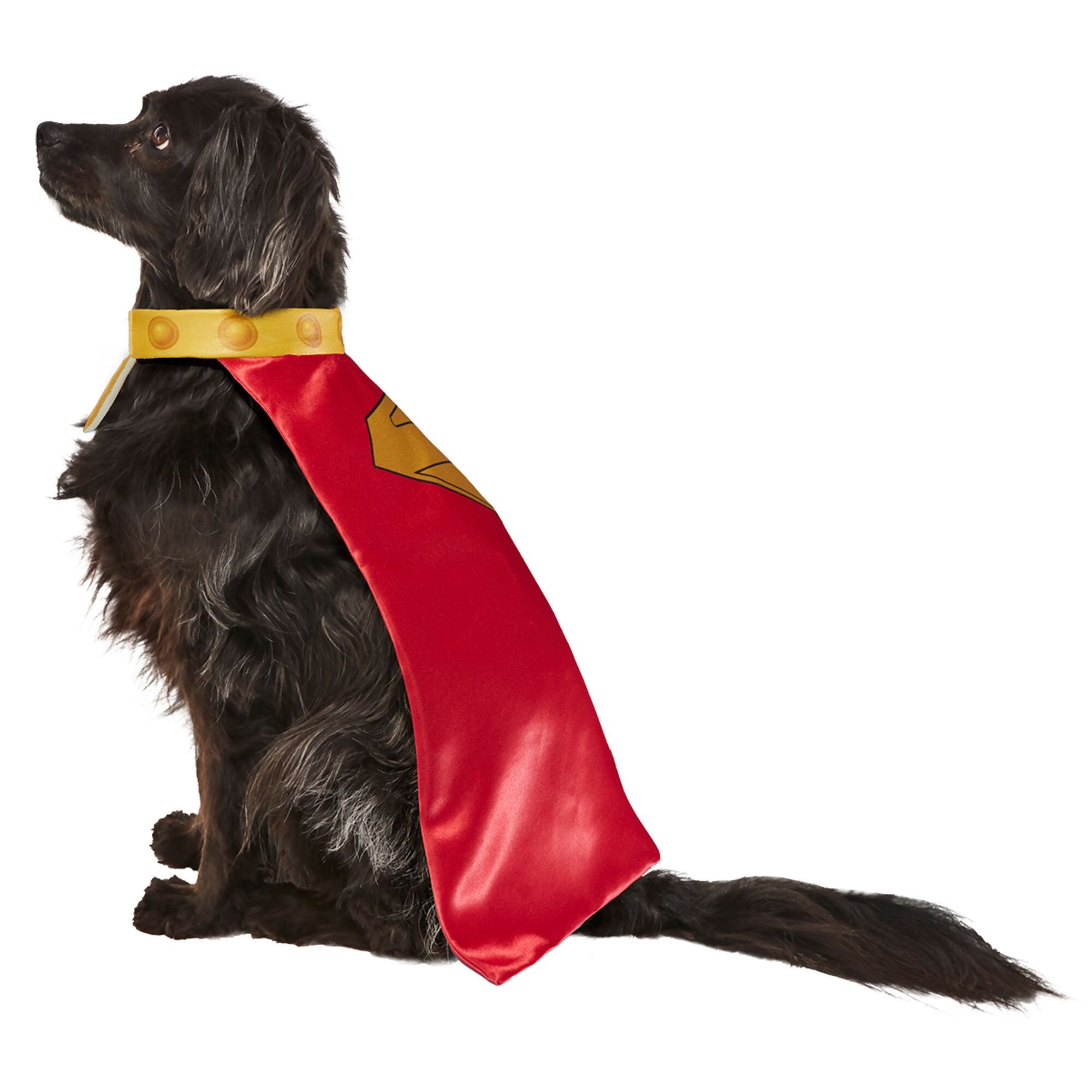 KRYPTO PET COSTUME