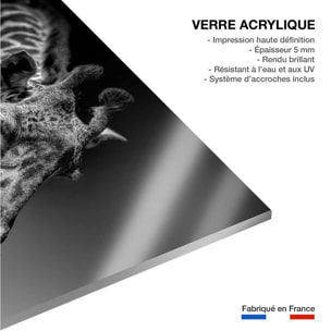 Tableau animaux girafe discrète Tableau plexiglas