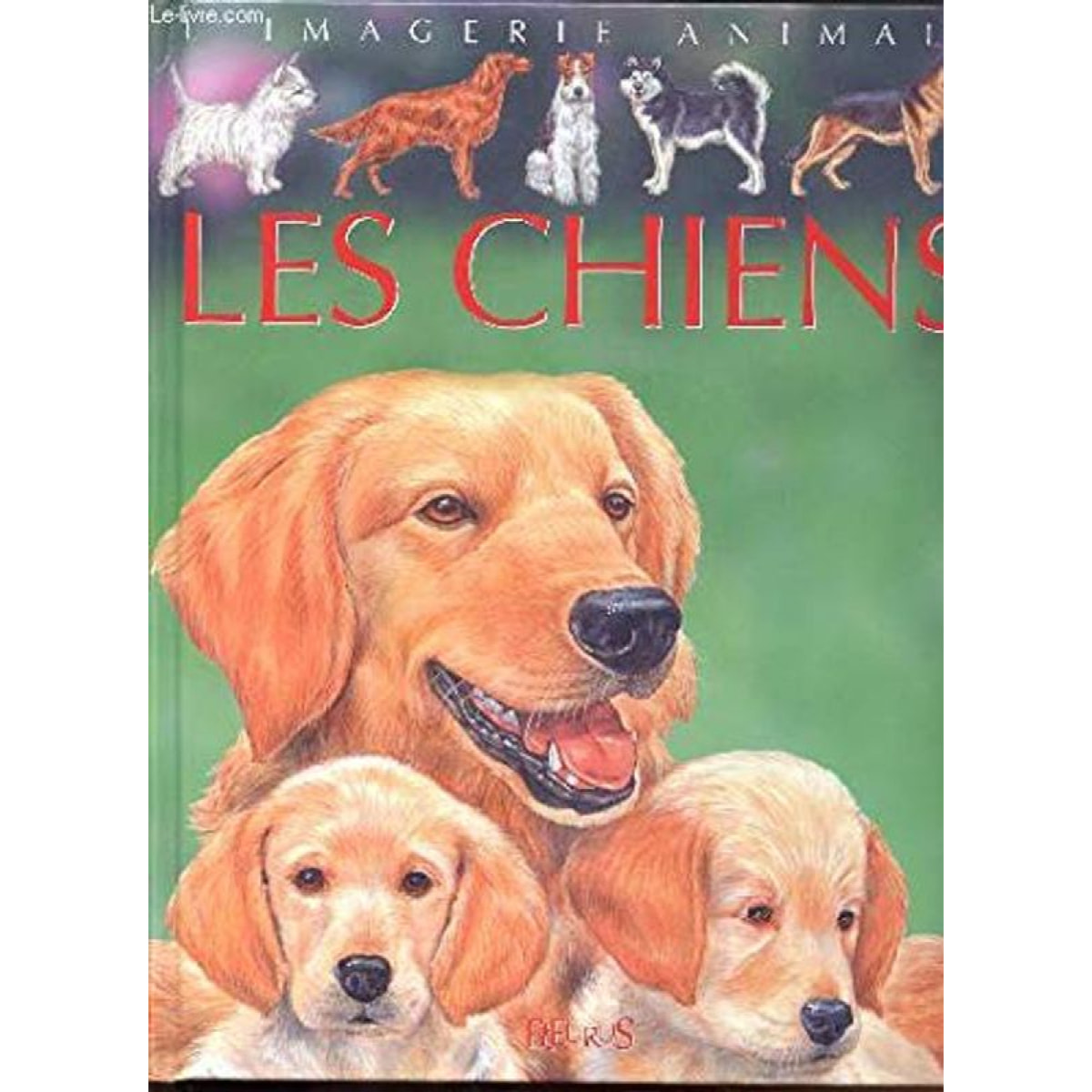 Beaumont, Emilie | Les Chiens : Pour les faire connaître aux enfants | Livre d'occasion