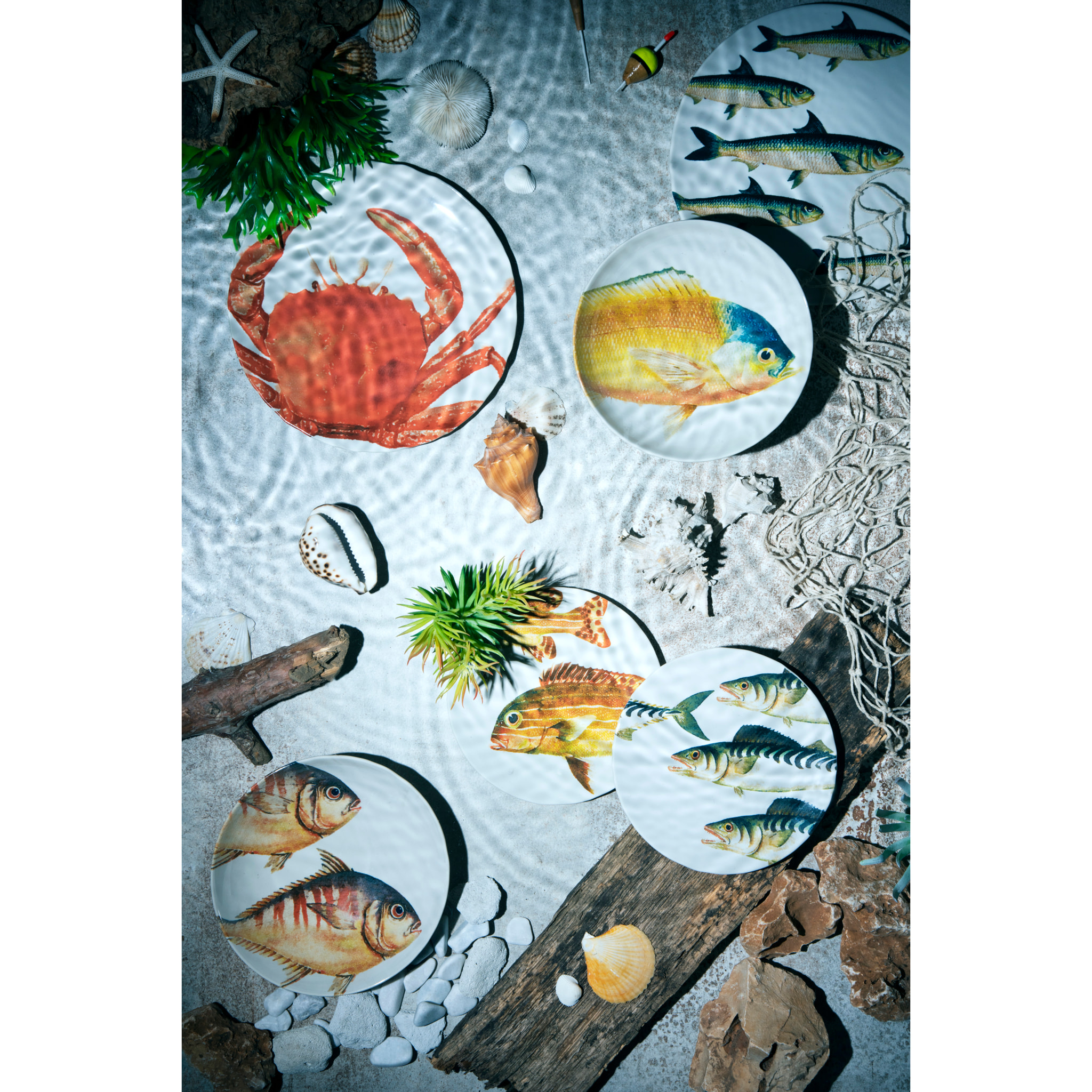 Servizio piatti 18 pezzi Excelsa Portland, ceramica multidecoro