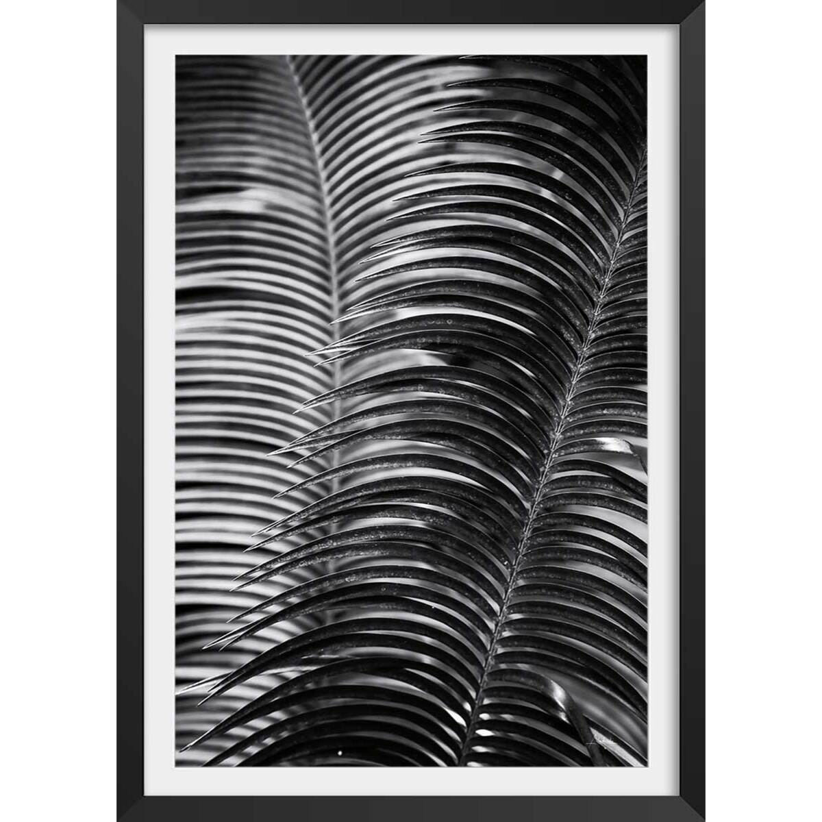 Poster jungle Sun palm Affiche + cadre en bois - Noir