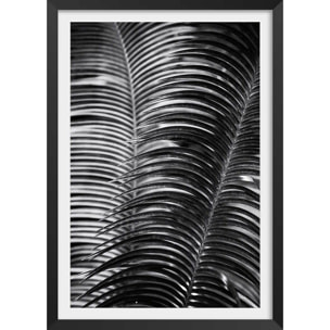 Poster jungle Sun palm Affiche + cadre en bois - Noir