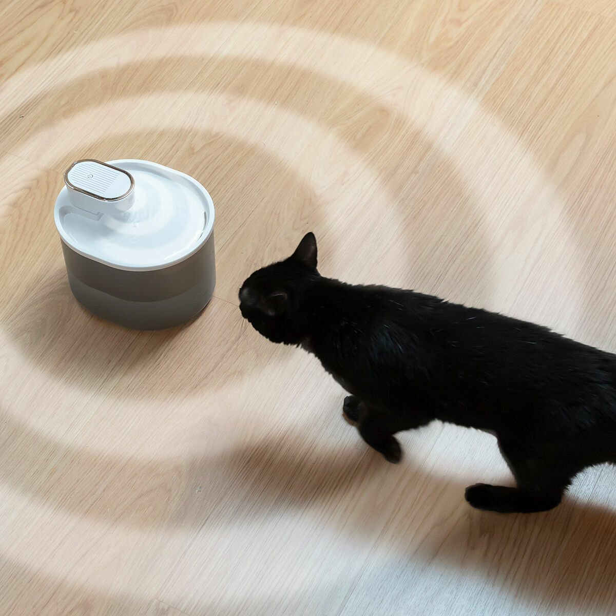 Fontaine pour Chats Rechargeable avec Détecteur Refopet InnovaGoods