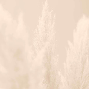 Affiche  scandi  de roseaux Affiche + cadre en bois - Chêne