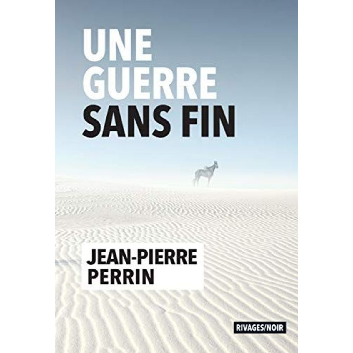 Perrin, Jean-Pierre | Une guerre sans fin | Livre d'occasion