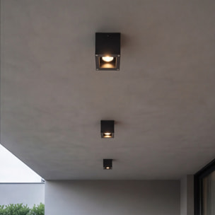 Ledsc4 LedsC4 - Plafón Exterior Afrodita 90mm, Aluminio y Cristal, Acabado Gris Transparente, Iluminación Personalizable, Resistente y Elegante para Espacios al Aire Libre