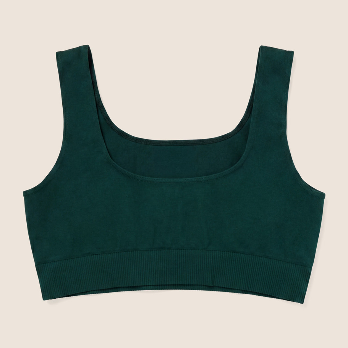 Top Sportivo Seamless con Fascia Sottoseno in costina