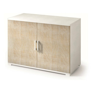 Armadio multiuso Serafinito, Mobile lineare a 2 Ante battenti con ripiano, Mobile da ingresso, Scarpiera moderna, 100% Made in Italy, 90x45h66 cm, Rovere e Bianco