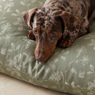 Housse antitaches pour lit pour animal Bolbaite