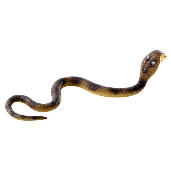 Ragni e Rettili/Cobra