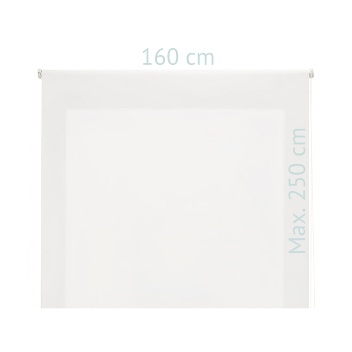 Tenda a Rullo opaca con catena manuale