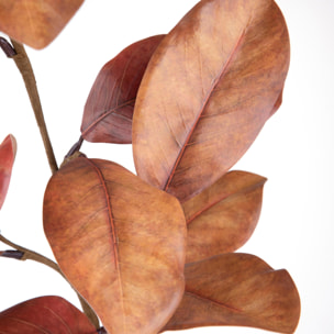 Magnolia ramo - Pezzi 12 - 18xH74x16cm - Bianchi Dino SpA