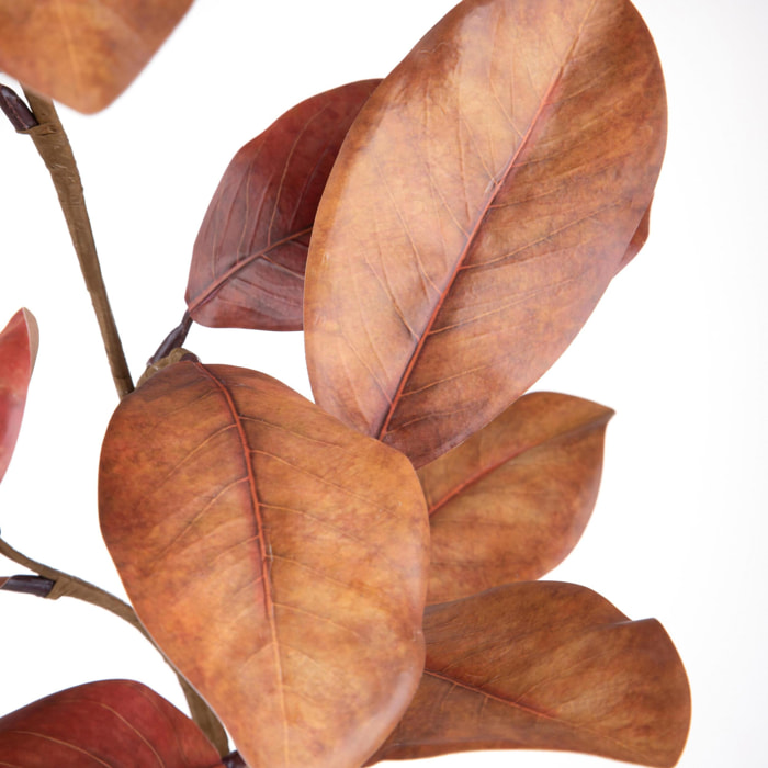 Magnolia ramo - Pezzi 12 - 18xH74x16cm - Bianchi Dino SpA