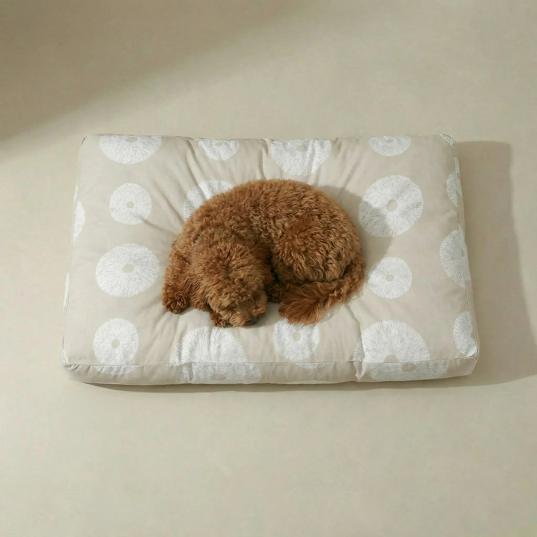 Lit pour animaux antitaches Lolani