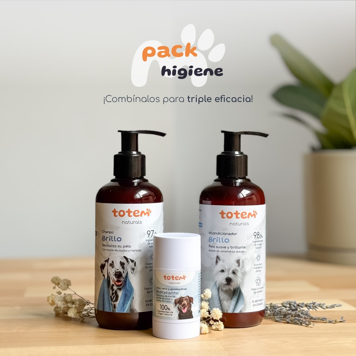 TOTEM NATURALS | Acondicionador natural perros 250ml Suavidad e hidratación - Acondicionador Natural Perros aceite almendras dulces, fórmula nutritiva y respetuosa pelaje brillante