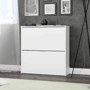 Armario Zapatero 2 Puertas 76x75x22 Cm Blanco