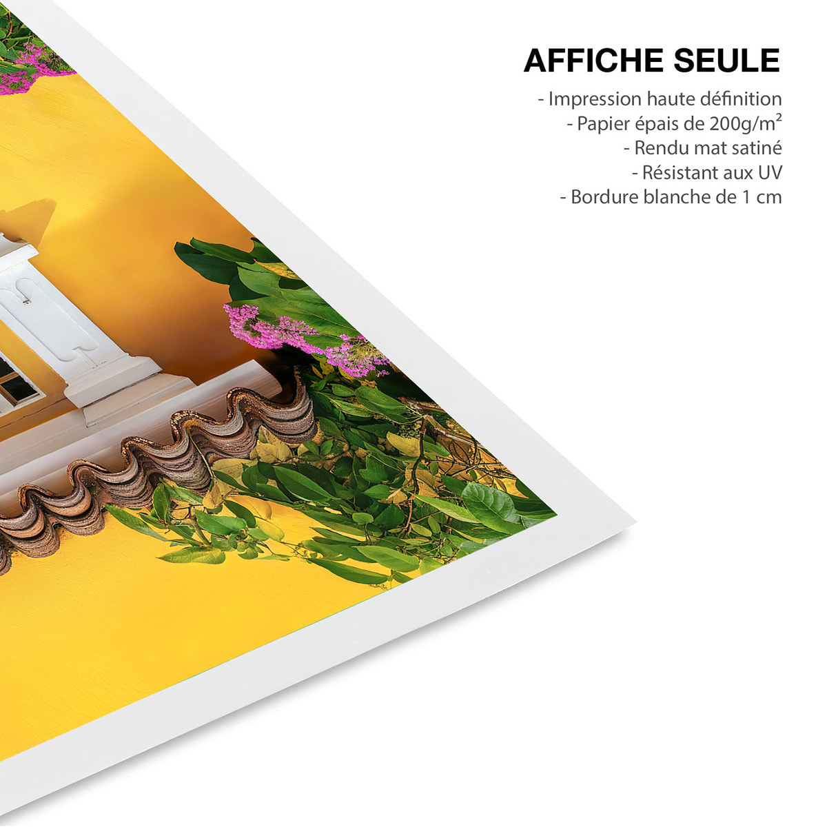 Affiche architecture Porte jaune à Olinda au Bresil Affiche seule