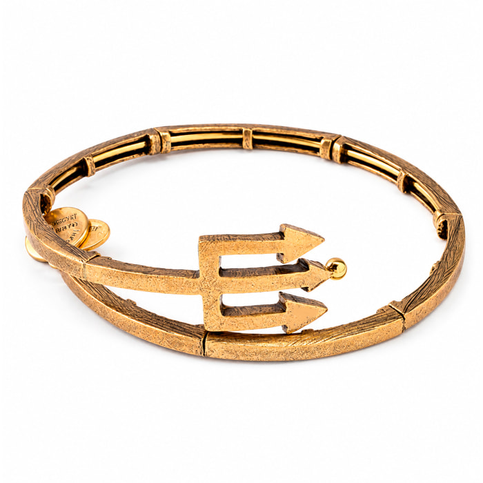 Pulsera Alex And Ani Mujer V16W30RG