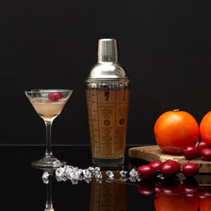 Shaker En Verre Avec Recettes 450ml