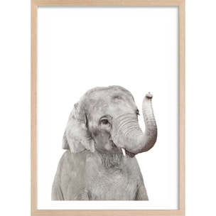 Affiche enfant bébé élephant  Affiche + cadre en bois - Chêne