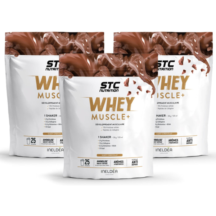 STC NUTRITION - Whey Muscle+ - Protéines Natives - Développement Muscle Sec - Innovation Brevetée Aminolise 100% Digeste - Sans Colorants, Sans Gluten - Chocolat -  Lot de 3 Doypack 750g