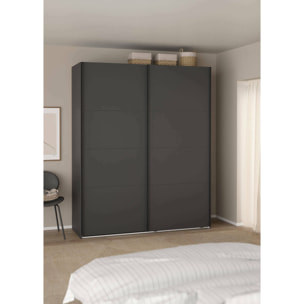 Armadio multiuso 2 ante Gomer, Mobile multifunzionale, Mobiletto scarpiera, Guardaroba porta scarpe, 179x65 h220 cm, Grigio