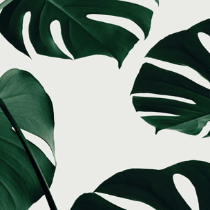 Tableau monstera quattro Toile imprimée