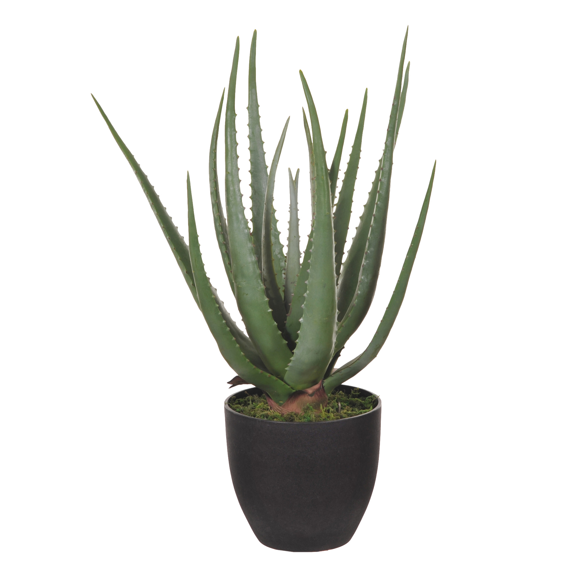 Aloe Con Vaso, 17 Foglie. Altezza 55 Cm - Pezzi 1 - 34X55X30cm - Colore: Verde - Bianchi Dino - Piante Artificiali