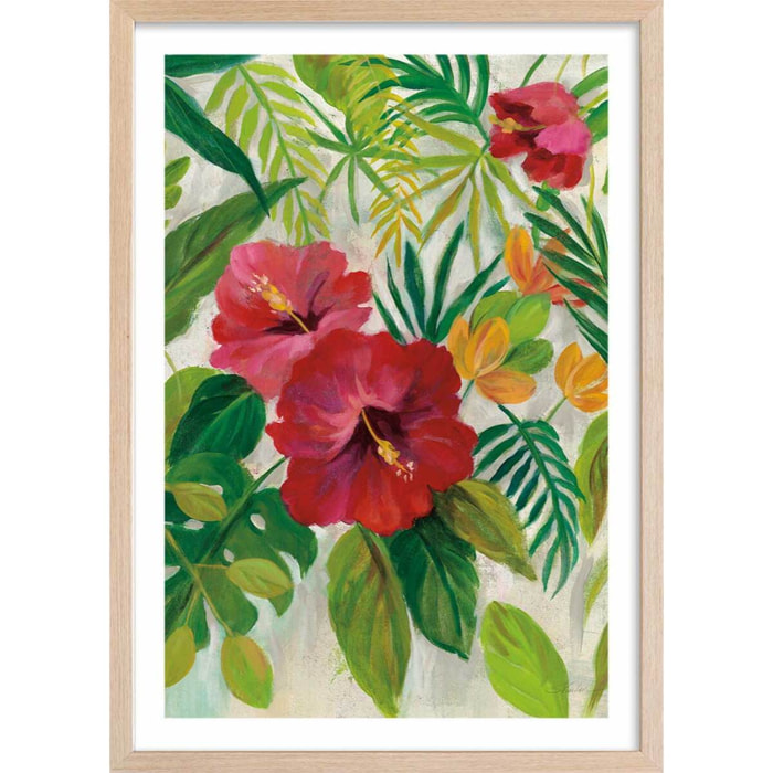 Poster Hibiscus des tropiques Affiche + cadre en bois - Chêne