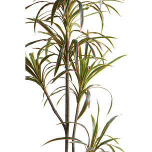 Dracena Marginata Con Vaso 190 Cm - Pezzi 1 - 90X190X90cm - Colore: Verde - Bianchi Dino - Piante Artificiali