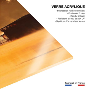 Tableau nature héron sur l'étang blanc  Tableau plexiglas