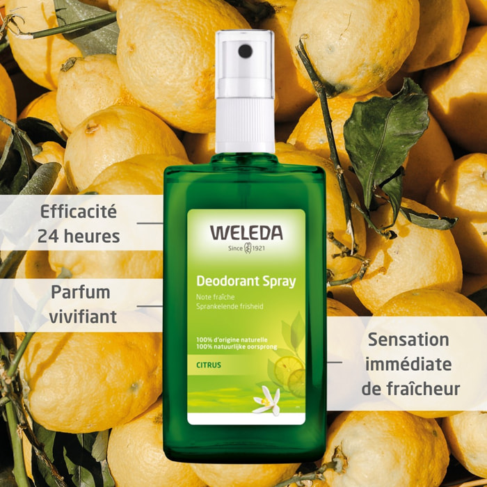 WELEDA - Déodorant spray Citrus - 100 ml