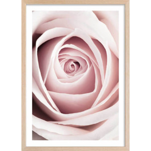 Affiche  coeur de roses Affiche + cadre en bois - Chêne