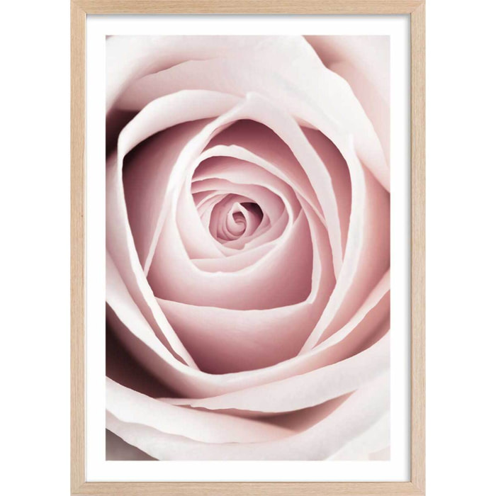 Affiche  coeur de roses Affiche + cadre en bois - Chêne