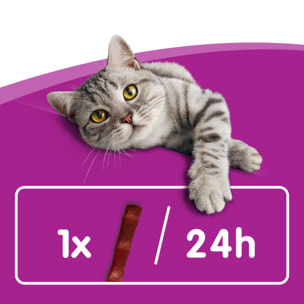 WHISKAS Friandises sticks au saumon pour chat (28x18g)