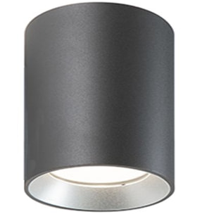 Show - Plafoniera Cilindrica Da Soffitto A Led 40W A Luce Fredda Colore Grigio