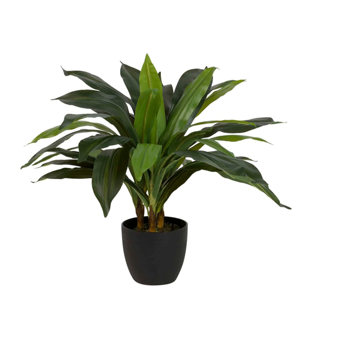 Planta Artificial Dracaena Fragrans Con Maceta 55x55x55 Cm