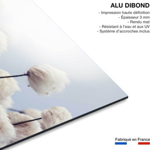 Tableau fleurs de coton au vent Tableau alu Dibond
