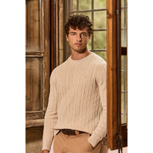 Jersey beige de punto trenzado y mezcla de lana con bordado Rigby Go
