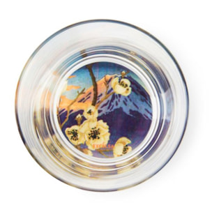 Set de 6 Verres Excelsa – Fuji, Verre Multicolore