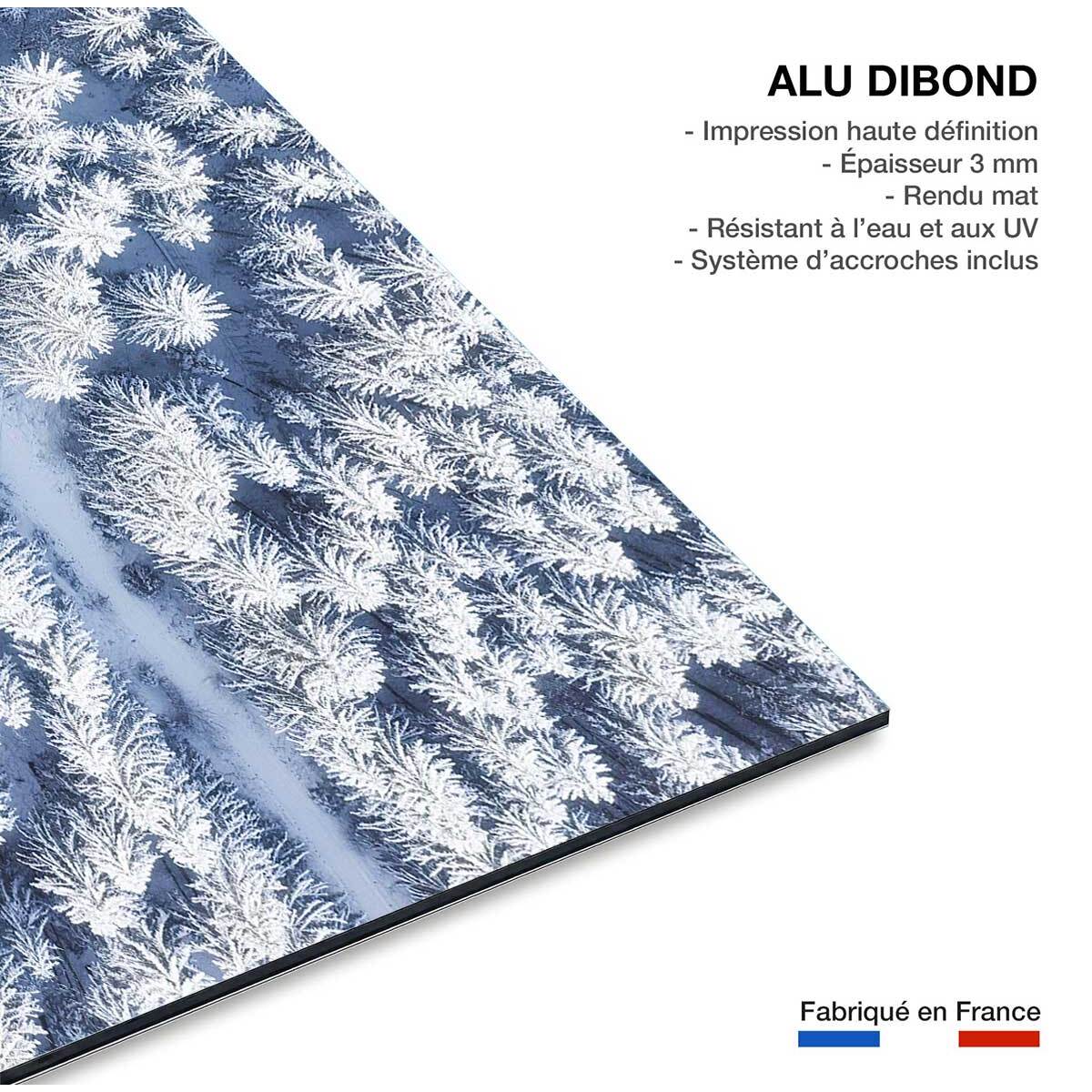 Tableau foret bleue de neige blanche  Tableau alu Dibond