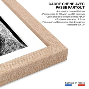 Poster animaux Portrait de chameau Affiche + cadre en bois - Chêne