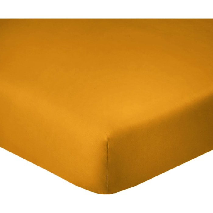 Drap housse coton safran