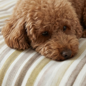 Lit pour animaux déhoussable et antitaches 0120-421