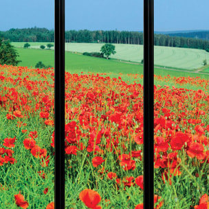 Papier peint, fenêtre sur coquelicots Intissé